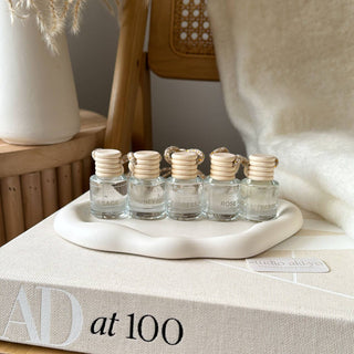 Hanging Car Diffuser -  Winterberry