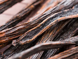 Cedar Vintage Reed Diffuser