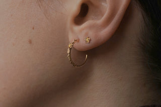Buttercup Yellow Sapphire Hoops - Large