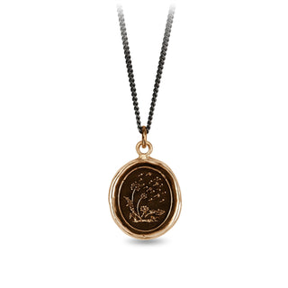 Seeds of Success Bronze Talisman Necklace - Special Order