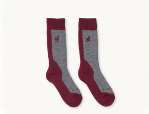Pokoloko Hiker Socks - Beet