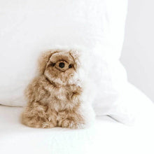 Load image into Gallery viewer, Pokoloko Alpaca Bear - Beige