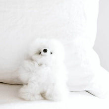 Load image into Gallery viewer, Pokoloko Alpaca Bear - White