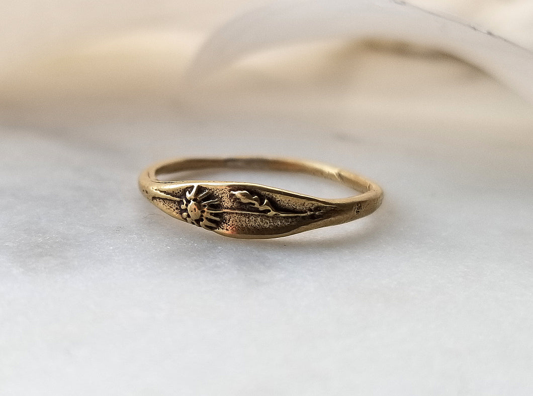 Marmalade Designs Bronze 