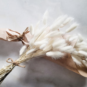 Plantita & Co. White Bunnytails Dried Floral