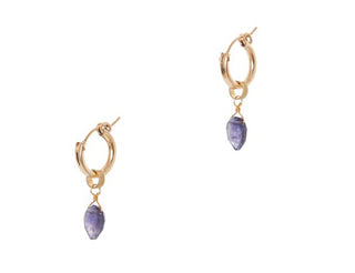 Hailey Gerrit Iolite Small Nahla Earrings