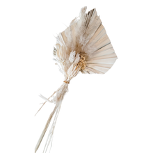 Load image into Gallery viewer, Plantita &amp; Co. Petite Palm Bundle