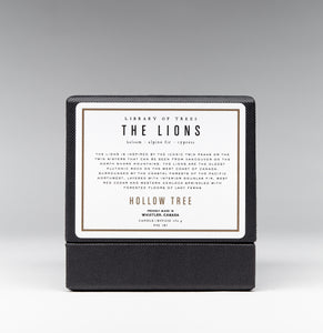 The Lions Candle